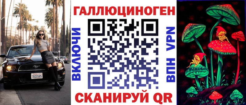 Псилоцибиновые грибы Psilocybe Реутов