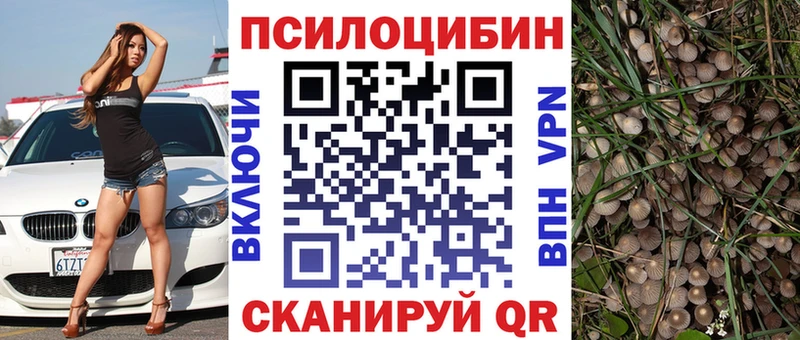 сколько стоит  Реутов  Псилоцибиновые грибы прущие грибы 