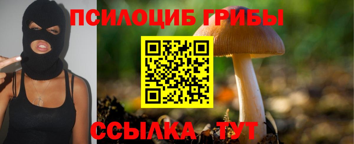 Галлюциногенные грибы Psilocybine cubensis Реутов
